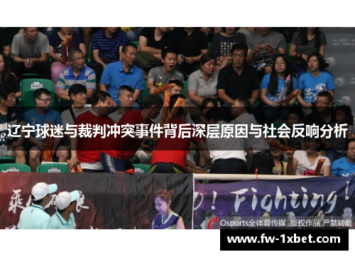 辽宁球迷与裁判冲突事件背后深层原因与社会反响分析