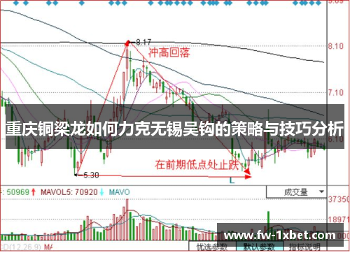 重庆铜梁龙如何力克无锡吴钩的策略与技巧分析 重庆铜梁龙如何力克无锡吴钩的策略与技巧分析