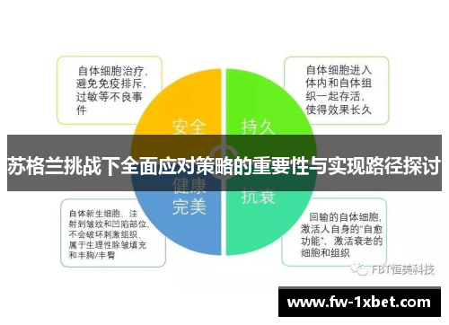 苏格兰挑战下全面应对策略的重要性与实现路径探讨