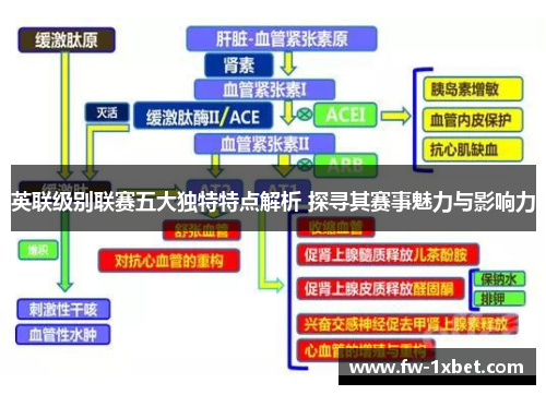 英联级别联赛五大独特特点解析 探寻其赛事魅力与影响力